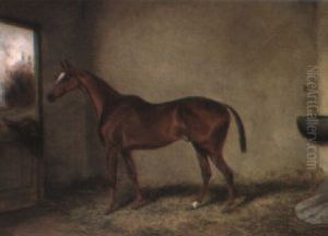 'ransom', A Bay Hunter In A Loose Box by Colin Graeme