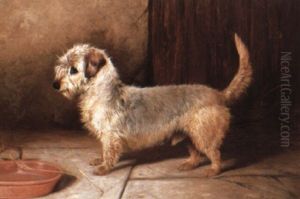 'callun': A Dandie Dinmont Terrier