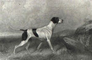 A Pointer And Setter