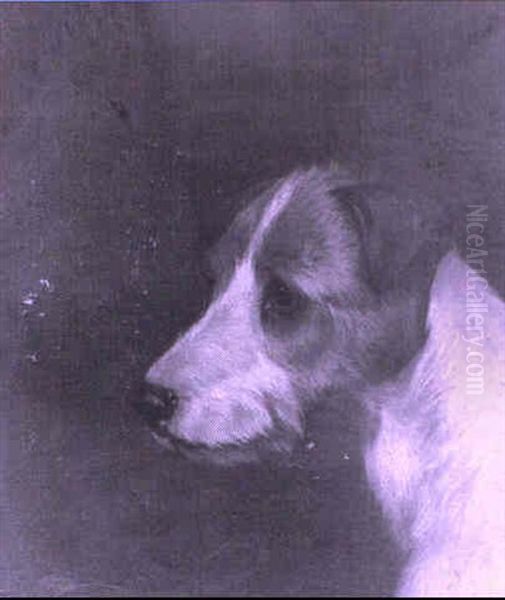 Wire Fox Terrier And An Irish Terrier - view 1