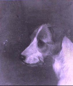 Wire Fox Terrier And An Irish Terrier by Colin Graeme