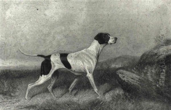 A Pointer - view 1