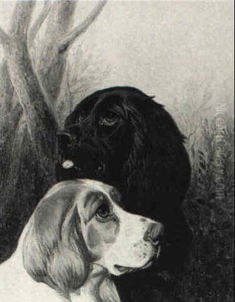 Spaniels - view 1