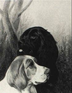 Spaniels Spaniels