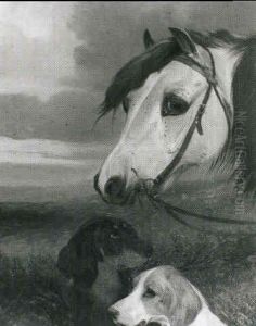 A Pony And Setters On A Moor