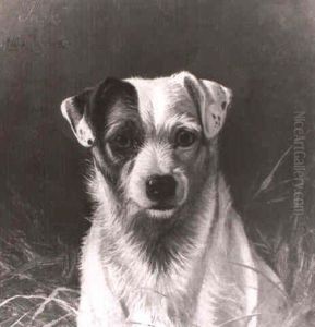 Jack by Colin Graeme