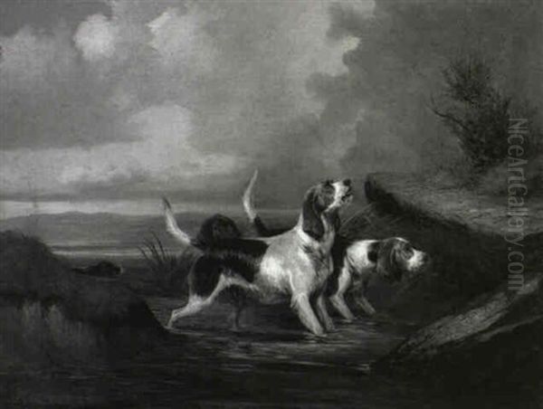 Hunting Dogs - view 1