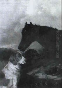 A Sportsman's Companions by Colin Graeme