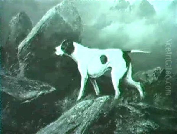 A Pointer Near Boulders - view 1