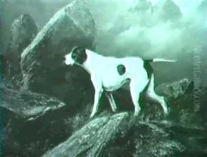 A Pointer Near Boulders by Colin Graeme
