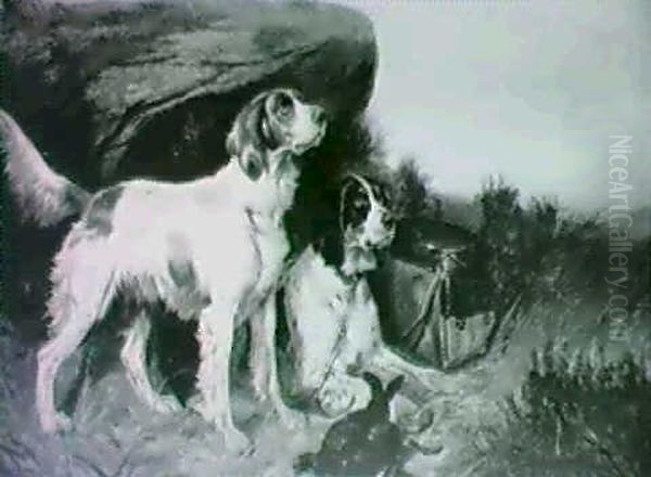 Orange Belton And Tricolor Setter - view 1