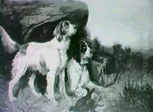 Orange Belton And Tricolor Setter Orange Belton And Tricolor Setter