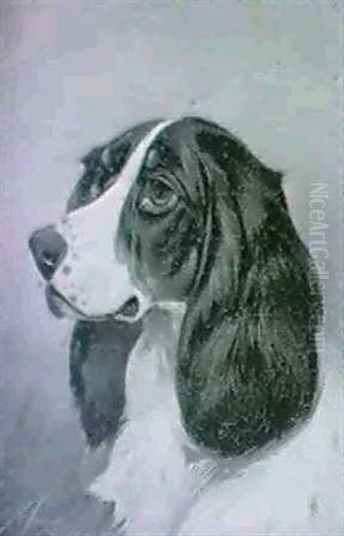 Study Of A Setter's Head - view 1