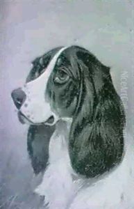 Study Of A Setter's Head by Colin Graeme