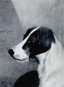 The Head Of A Terrier by Colin Graeme