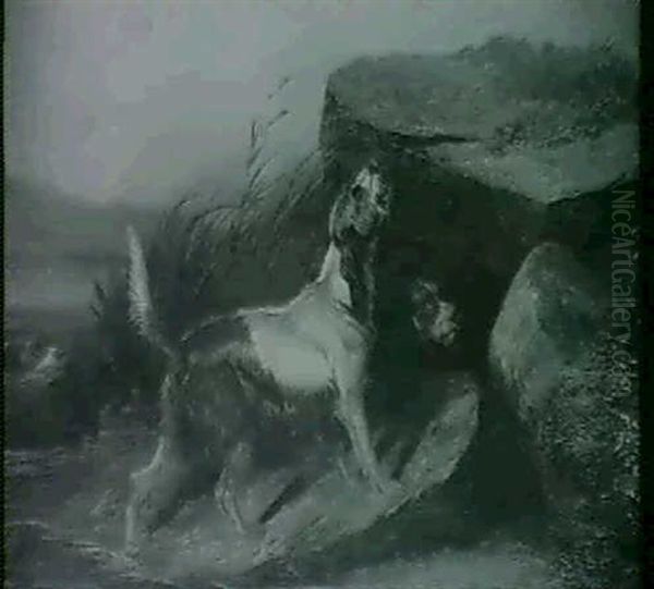 Otter Hounds - view 1