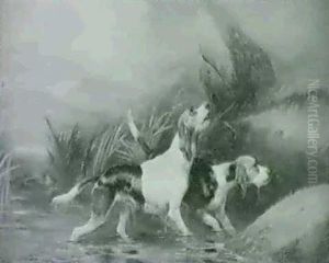 Retrievers In A Highland Loch