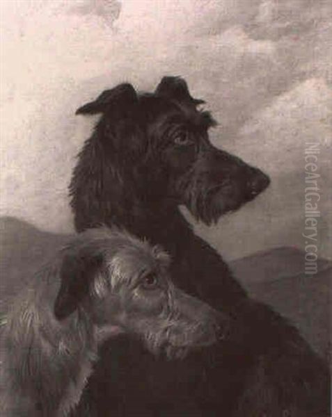 Head Studies Of Two Deerhounds - view 1