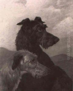 Head Studies Of Two Deerhounds
