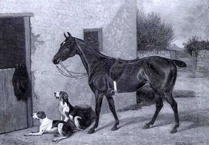 At The Stable Door At The Stable Door
