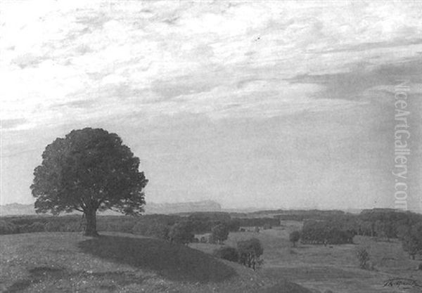 Sommerliche Voralpenlandschaft - view 1