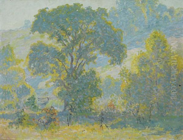 Morning Light - view 1