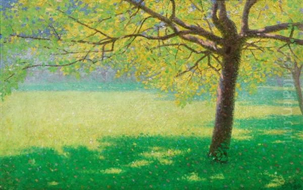 Appletree In The Sun - view 1
