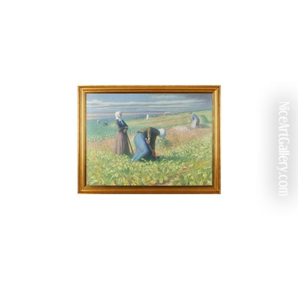 Untitled (harvest) - view 1
