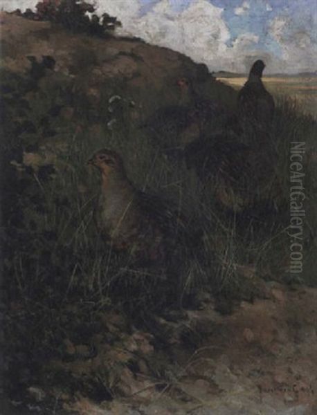 Landskap Med Orrhonor - view 1