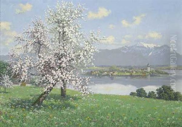 Obstblute Am Chiemsee - Blick Auf Die Fraueninsel - view 1