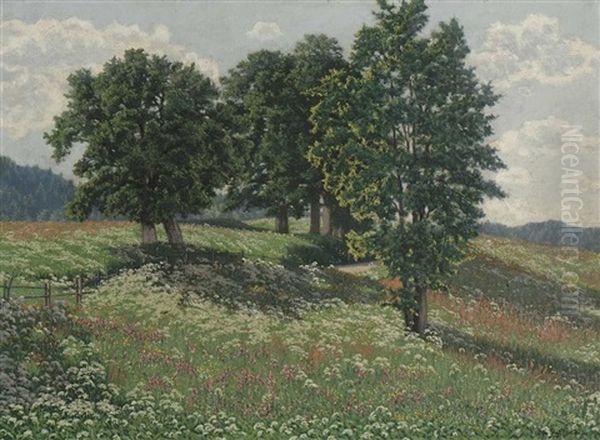Sommerliche Wiesenlandschaft - view 1