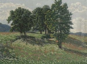 Sommerliche Wiesenlandschaft Sommerliche Wiesenlandschaft