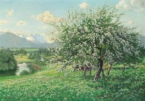 Bluhender Kirschbaum