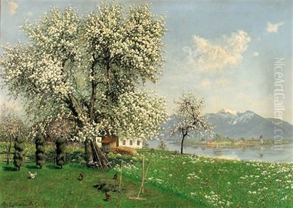 Fruhling Am Chiemsee Mit Fraueninsel - view 1