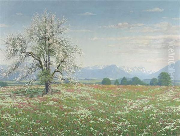 Spring In The Alps - view 1