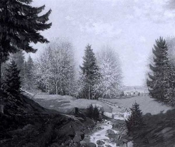Wildbach - view 1