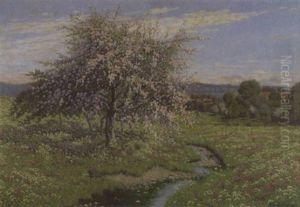 Fruhling Im Bayrischen Alpenvorland Fruhling Im Bayrischen Alpenvorland
