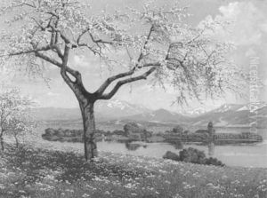 Kirschblute Am Chiemsee Mit Fraueninsel Kirschblute Am Chiemsee Mit Fraueninsel