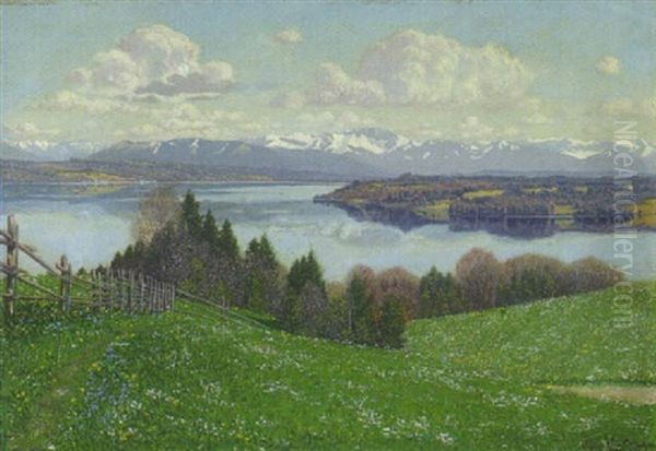 Der Karpfenwinkel Bei Bernried - Starnberger See - view 1
