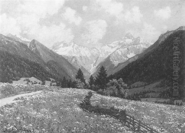 Bergwiese - view 1