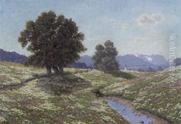Fruhling Im Voralpenland - view 1