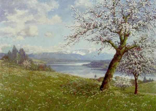 Starnberger See Bei Tutzing Im Fruhling - view 1