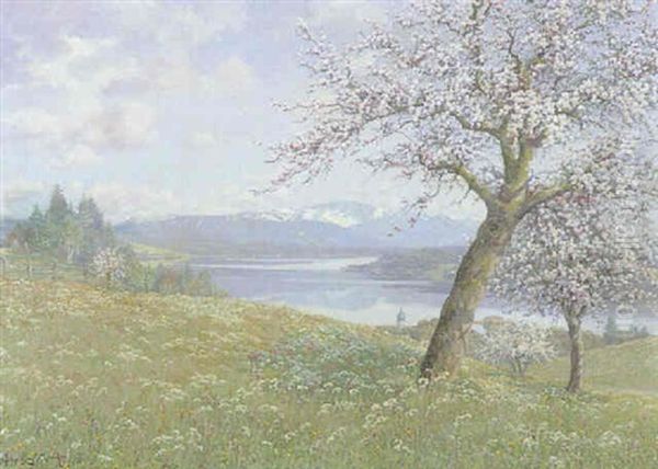 Starnberger See Bei Tutzing - view 1