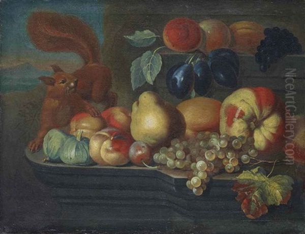 Stillleben, Verschiedene Fruchte Und Ein Eichhornchen - view 1