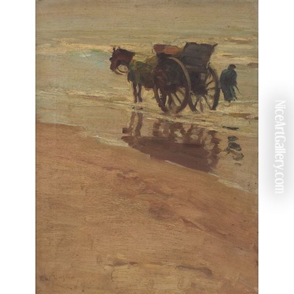 Along The Shore - view 1
