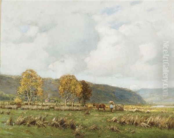 A Harvest Of Reeds, Llanelly - view 1