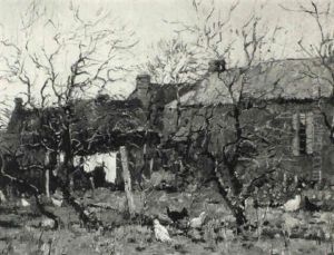 The Back Garden In Winter
