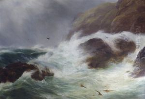 Seascape Seascape