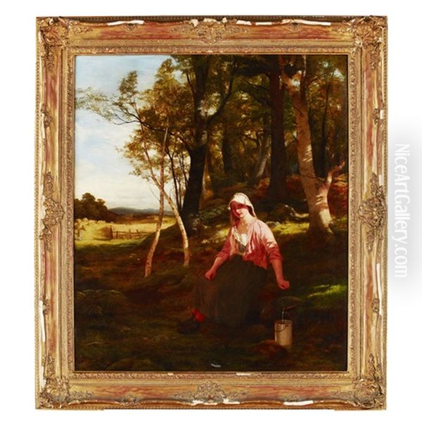 Resting In The Glade - view 1