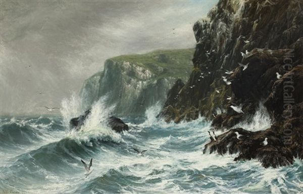 Seacliffs - view 1
